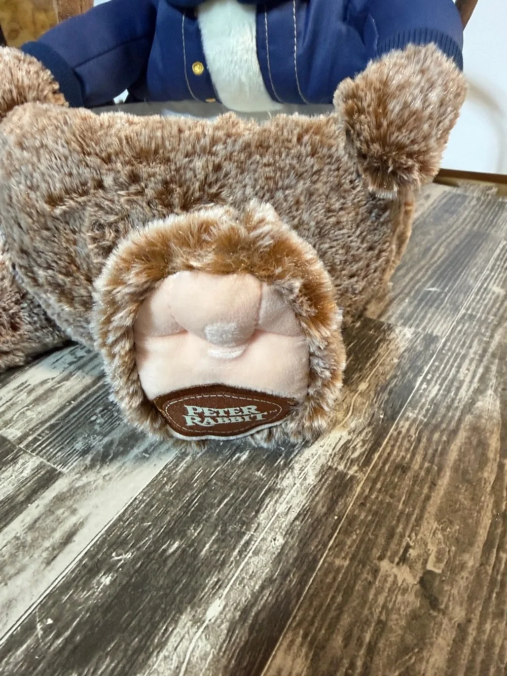 Dan Dee Peter Rabbit Easter Basket